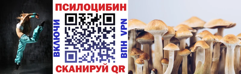 Псилоцибиновые грибы Magic Shrooms  Алатырь 